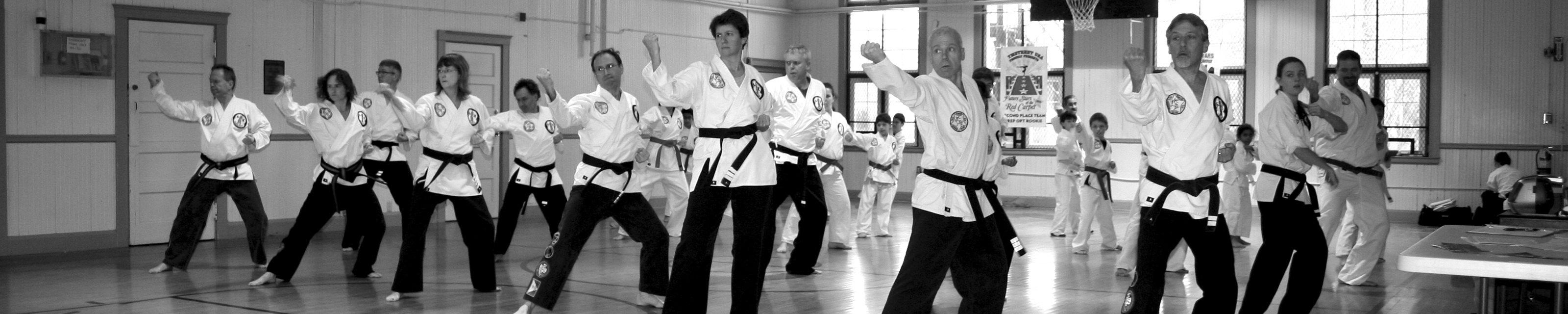 Tae Kwon Do Karate Club